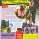 Image for article titled This Week In Tabloids: Arnold "Groped, Used & Humiliated" 32 More Women, Has 2 More Secret Kids